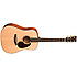 DSTG Martin Guitars