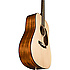 DSTG Martin Guitars