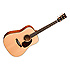 DST Martin Guitars