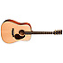 DST Martin Guitars