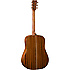 DST Martin Guitars
