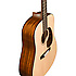DST Martin Guitars