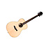 SGA 100 G. Auditorim Solid Top JM Forest