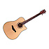 D2 CEQ NS Dreadnought JM Forest