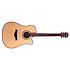 D2 CEQ NS Dreadnought JM Forest