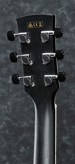 frokost Daggry svale AW84CE-WK : Folk Electro Acoustic Guitar Ibanez - SonoVente.com - en