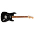 Standard Stratocaster HH PF Black Fender
