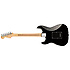 Standard Stratocaster HH PF Black Fender