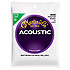 Acoustic M500 Extra Light 12-String 10-47 Martin Strings