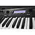 KROSS 2-61-MB Matte Black Korg