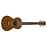 Rincon Tenor Ukulele Fender