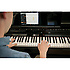 CSP-150PE Clavinova Smart Piano Yamaha