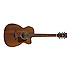 AVC9CE-OPN Ibanez