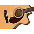 PM-3CE Standard Triple O Nat Fender
