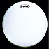 Peau de Tom 16''. G1. Simple Pli. Blanche Sablée B16G1 Evans