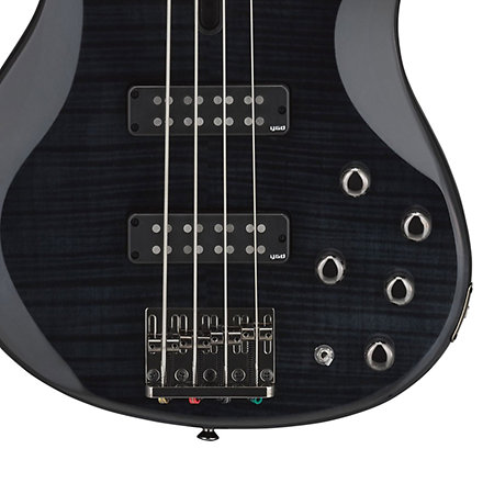 TRBX604FM TBL : Electric Bass Yamaha - SonoVente.com - en