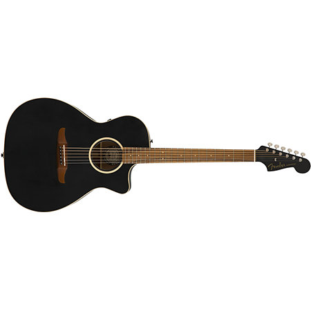 Newporter Special Matte Black Fender
