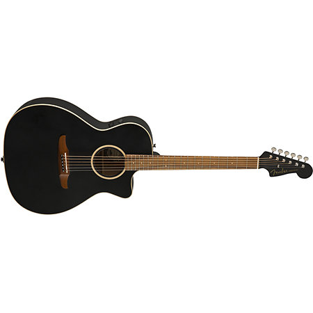 Newporter Special Matte Black Fender