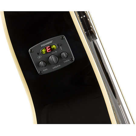Newporter Player Jetty Black Fender