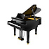 GP609-PE Digital Grand Roland