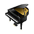 GP609-PE Digital Grand Roland