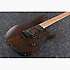 RGRT421-WNF Ibanez