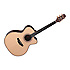 TN28C Natural Series Takamine