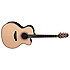TN28C Natural Series Takamine