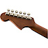 Newporter Player Rustic Copper Fender