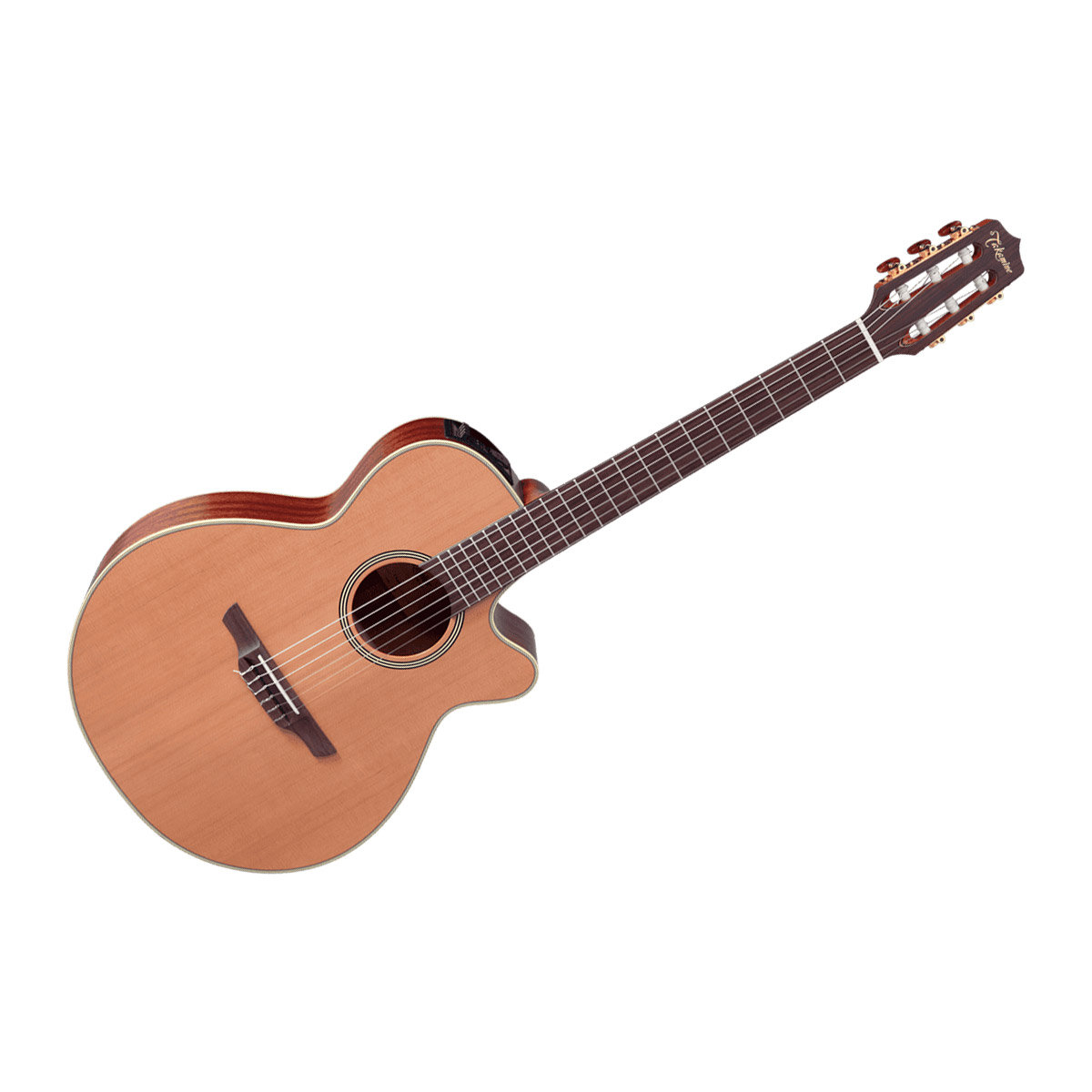 takamine guitar harga