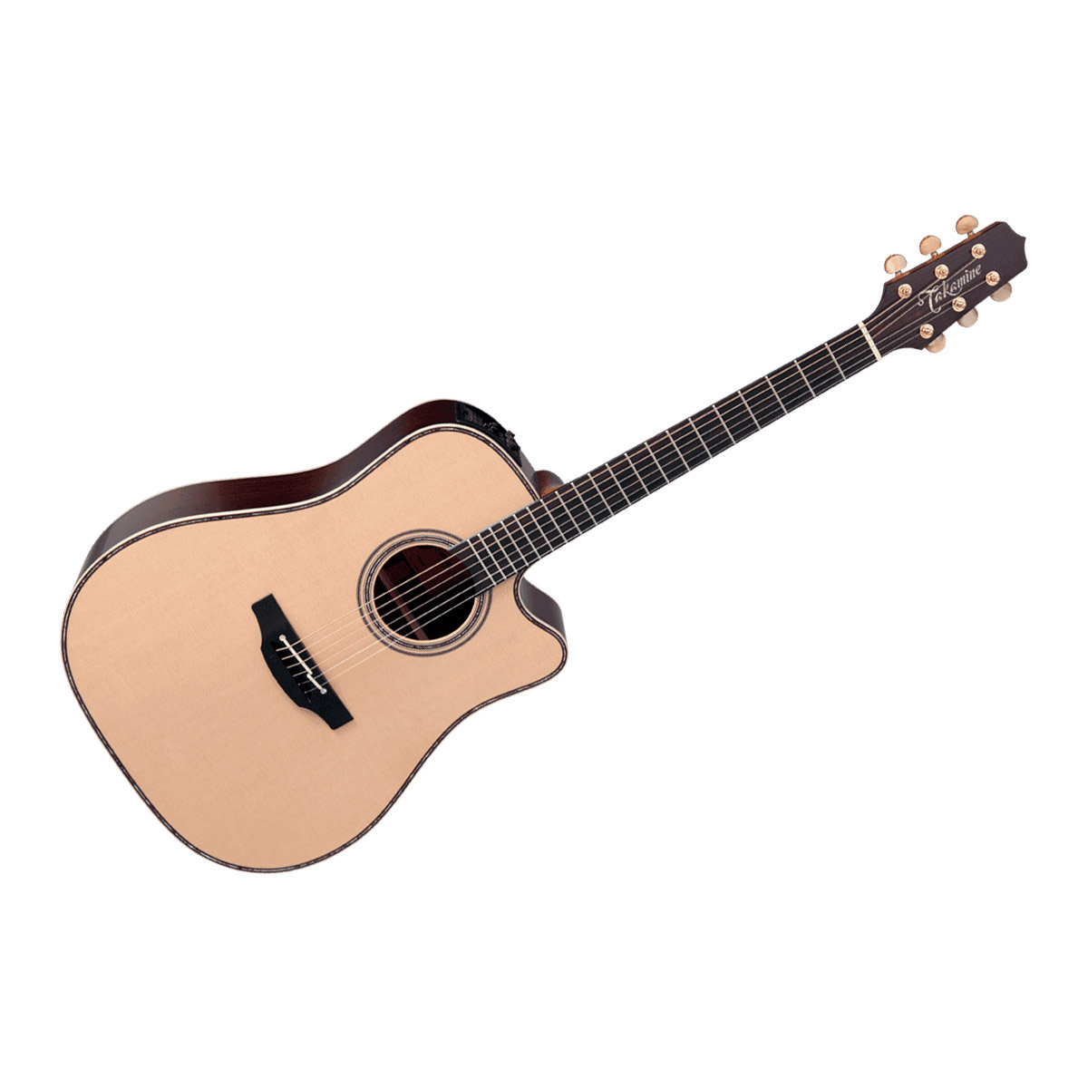 takamine folk guitar