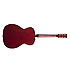 Legacy Tennessee Red Concert Hall Art et Lutherie