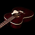 Legacy Tennessee Red Concert Hall Art et Lutherie