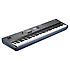 SP 6 Kurzweil