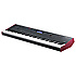 FORTE SE Kurzweil