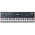 FORTE SE Kurzweil