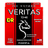 VTE-10 Veritas 010-046 DR Strings