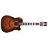 Premier Bowery Aged Natural D'Angelico