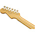 MIJ Traditional 60s Stratocaster Gold Hardware RW Fender