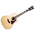 PREMIER FULTON NATURAL D'Angelico