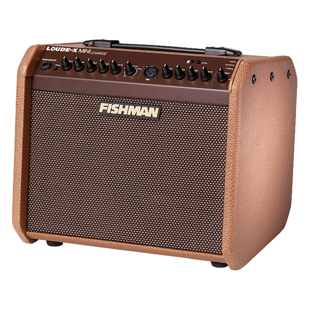 fishman pro lbx 500 loudbox mini