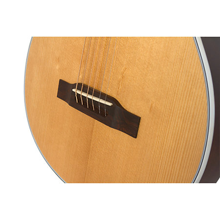 SST Coupe Natural Epiphone
