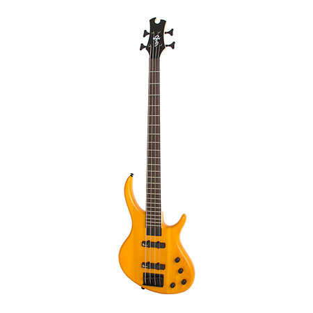 Toby Deluxe-IV Bass Translucent Amber Satin Epiphone