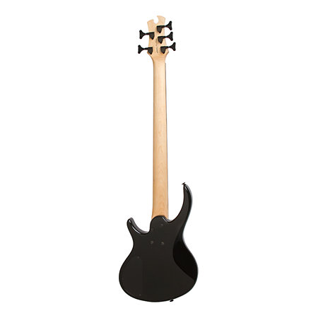 Toby Deluxe-V Bass Ebony Epiphone