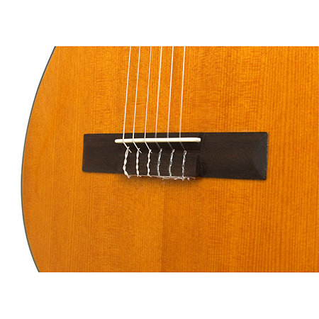 PRO-1 Classic Antique Natural Epiphone