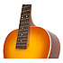 Masterbilt Century Olympic Honey Burst Epiphone