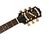Masterbilt Century Olympic Honey Burst Epiphone