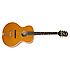 Masterbilt Century Zenith Vintage Natural Epiphone