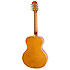 Masterbilt Century Zenith Vintage Natural Epiphone