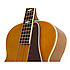 Masterbilt Century De Luxe Classic Bass Vintage Natural Epiphone